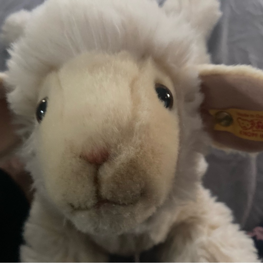 Steiff lamb  Made in Germany Lamb